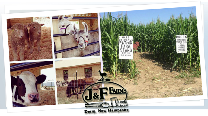 J & F Farms Corn Maze - Derry, NH